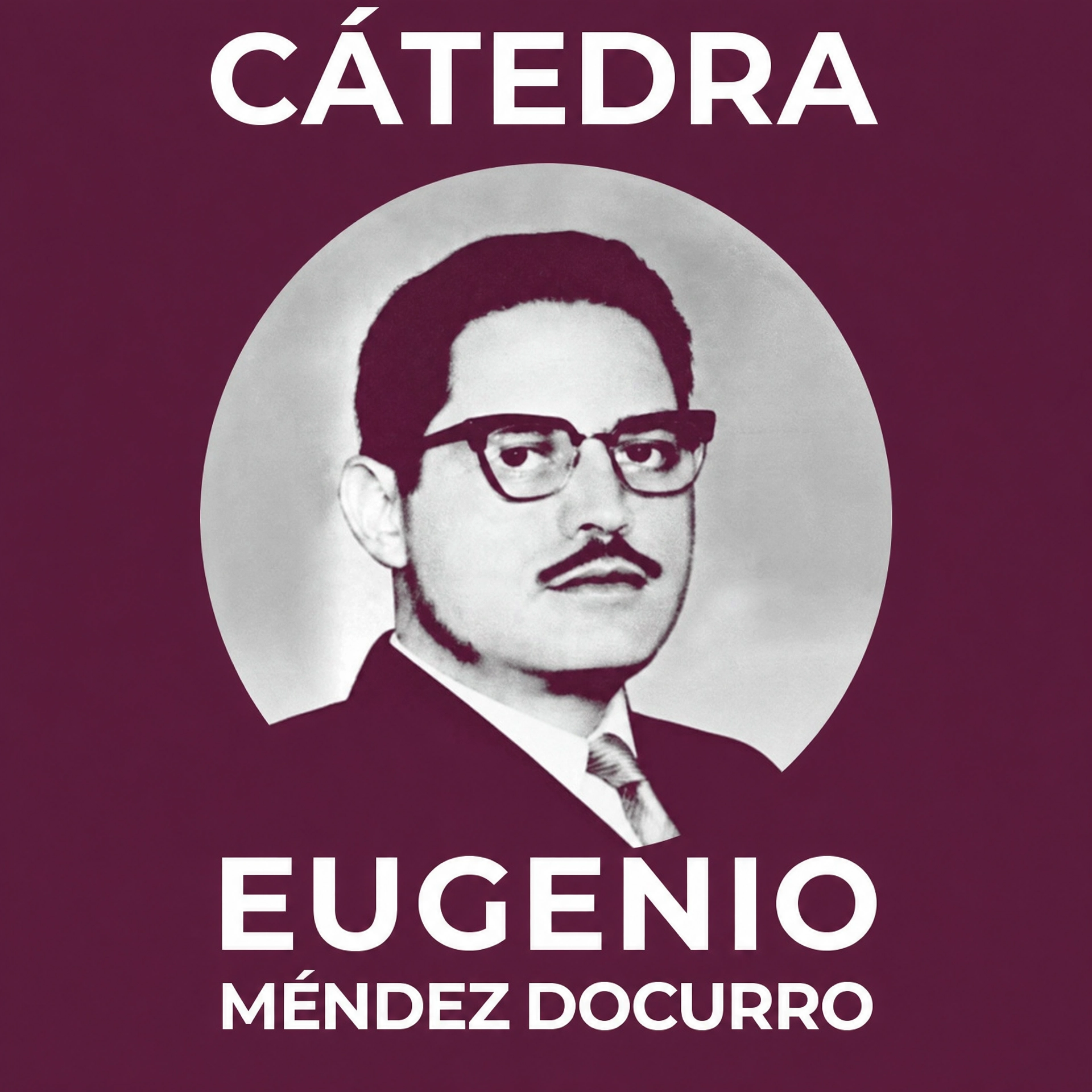 Cátedra Eugenio Méndez Docurro
